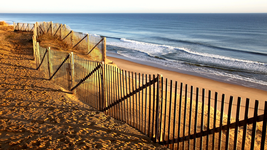 21 Best Sunset Beaches on Cape Cod